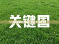 顶级球员的非凡瞬间：赛场上的力量与优雅