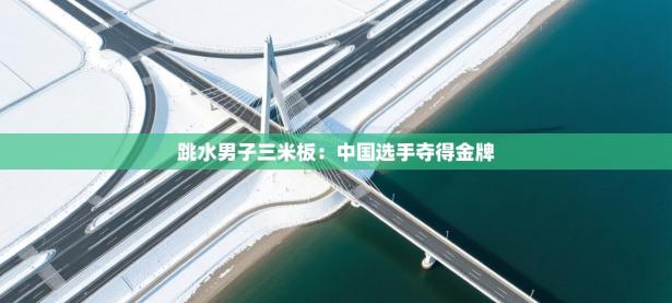 跳水男子三米板：中国选手夺得金牌