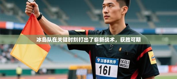 冰岛队在关键时刻打出了崭新战术，获胜可期