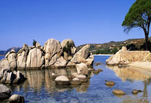 比利时擒下丹麦，晋级欧洲杯强