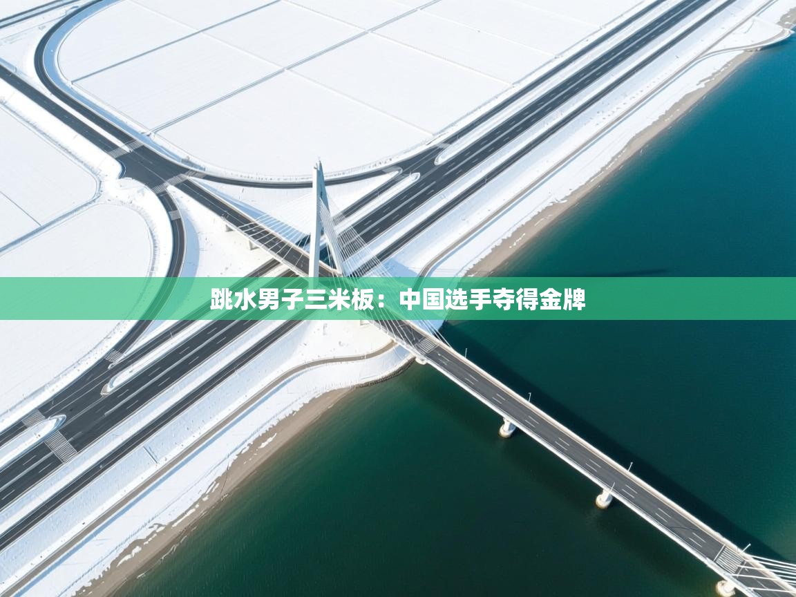 跳水男子三米板:中国选手夺得金牌 第1张