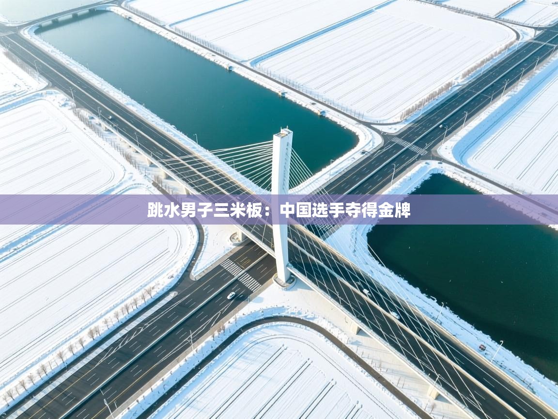 跳水男子三米板:中国选手夺得金牌 第2张