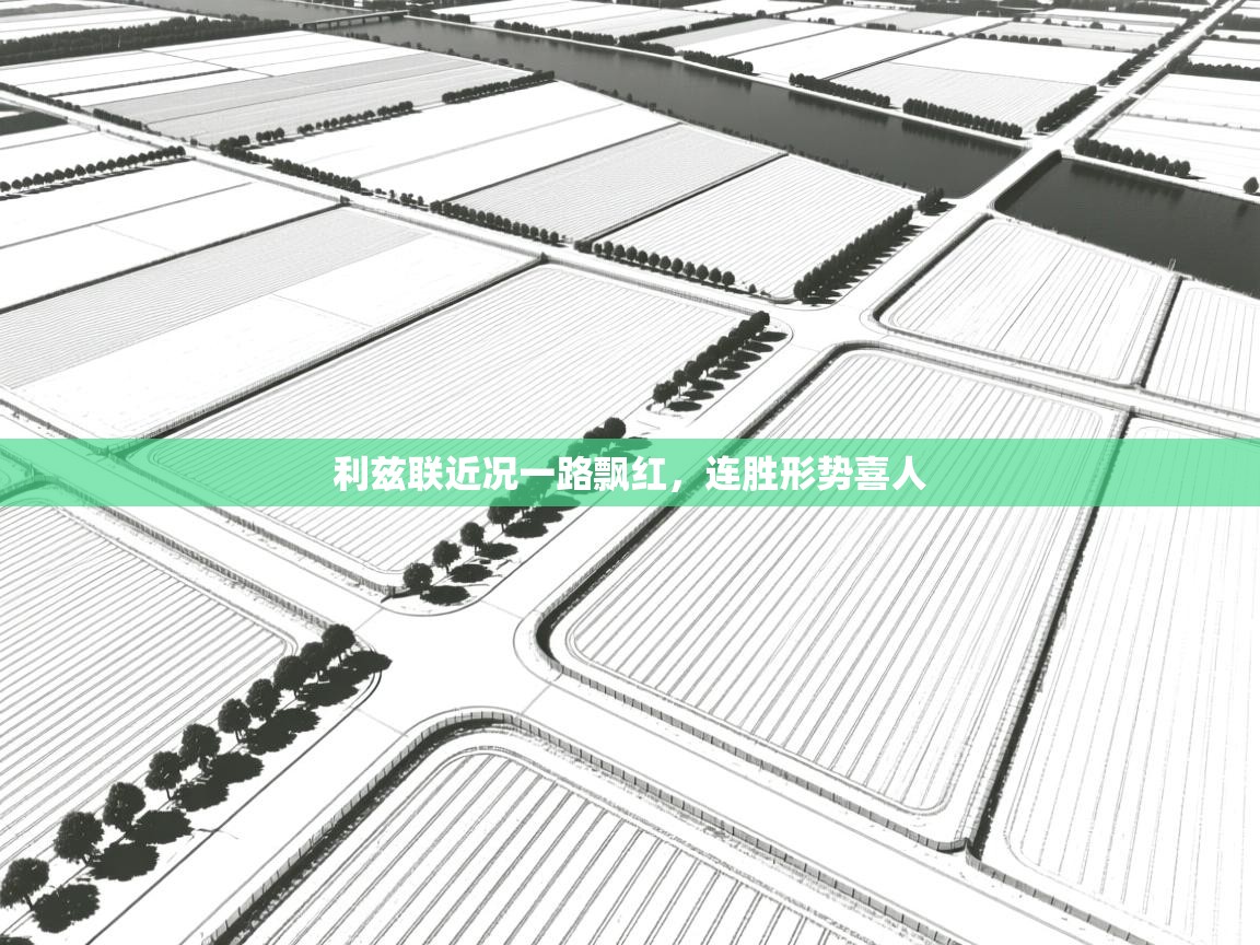 利兹联近况一路飘红，连胜形势喜人  第1张