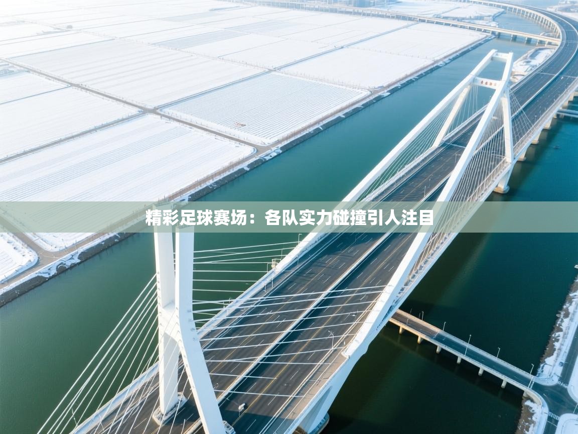 精彩足球赛场：各队实力碰撞引人注目  第2张