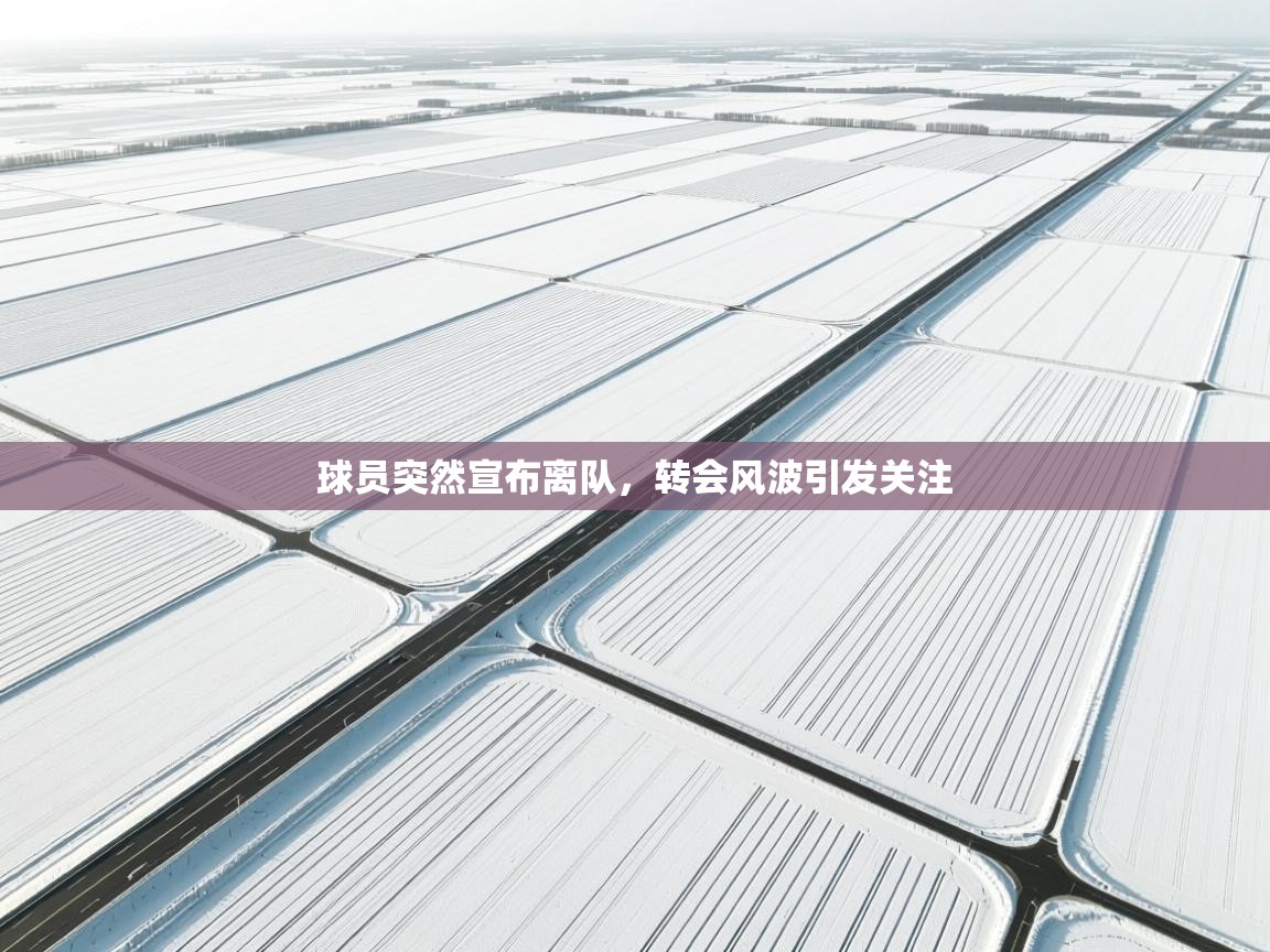 球员突然宣布离队,转会风波引发关注 第1张