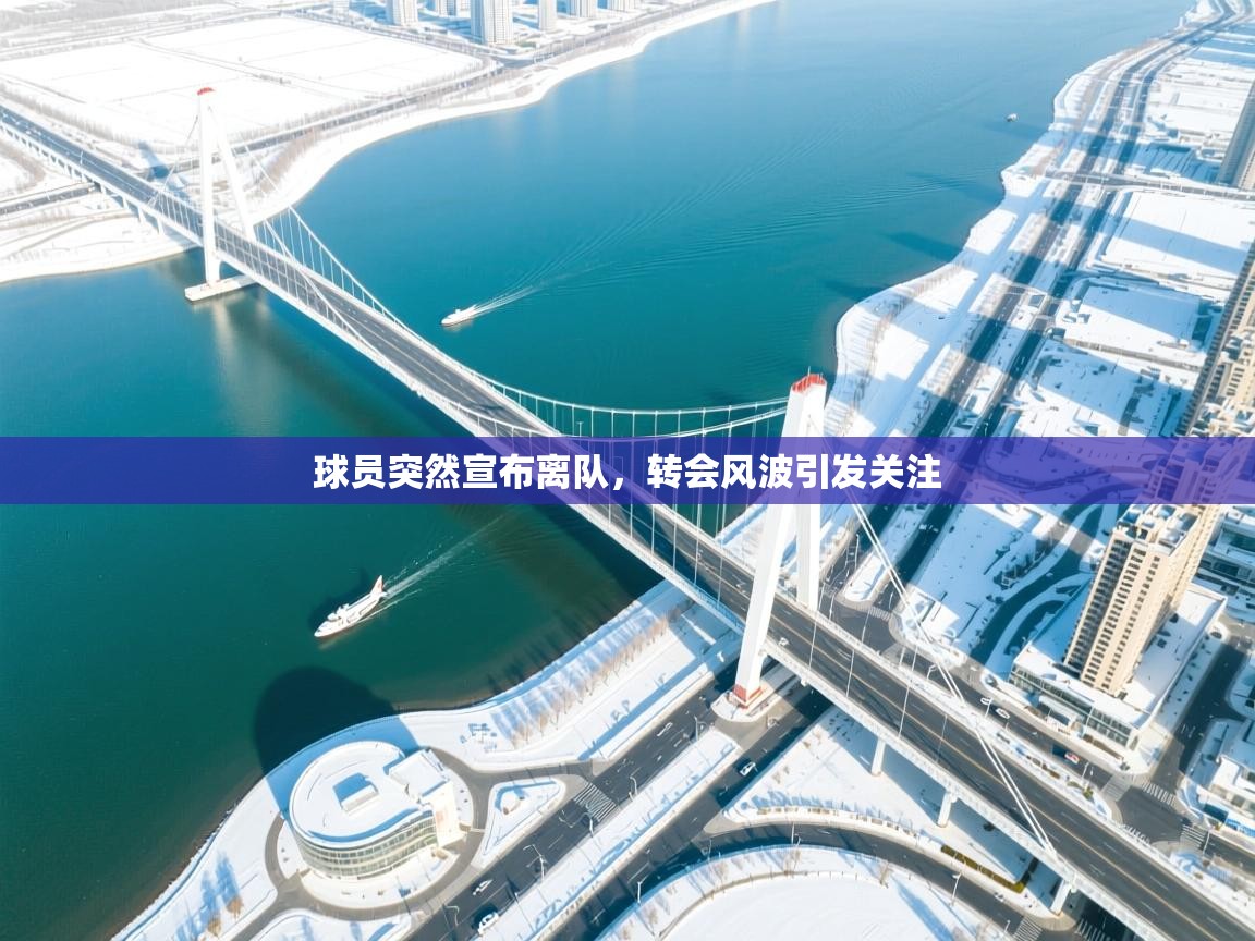 球员突然宣布离队,转会风波引发关注 第2张